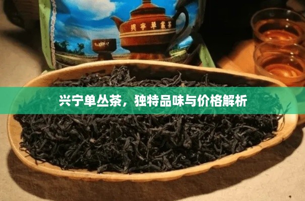 興寧單叢茶，獨(dú)特品味與價(jià)格解析