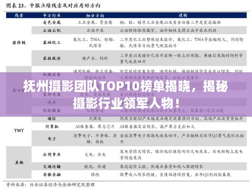 撫州攝影團(tuán)隊TOP10榜單揭曉，揭秘攝影行業(yè)領(lǐng)軍人物！