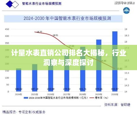 計量水表直銷公司排名大揭秘，行業(yè)洞察與深度探討