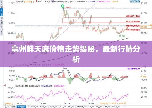 亳州鮮天麻價(jià)格走勢揭秘，最新行情分析