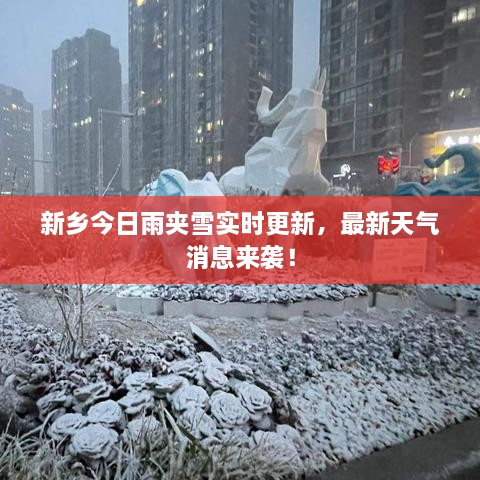 新鄉(xiāng)今日雨夾雪實時更新，最新天氣消息來襲！