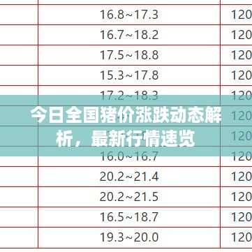 今日全國豬價漲跌動態(tài)解析，最新行情速覽