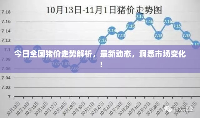 今日全國豬價走勢解析，最新動態(tài)，洞悉市場變化！