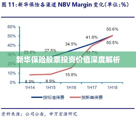 新華保險股票投資價值深度解析