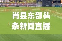 肖縣東部頭條新聞直播，地域最新動態(tài)盡在掌握