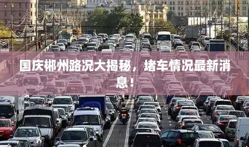 國慶郴州路況大揭秘，堵車情況最新消息！