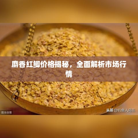 麝香紅鯽價格揭秘，全面解析市場行情