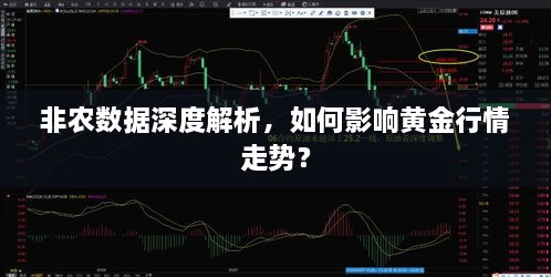 非農(nóng)數(shù)據(jù)深度解析，如何影響黃金行情走勢(shì)？