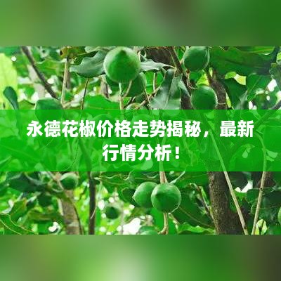 永德花椒價格走勢揭秘，最新行情分析！