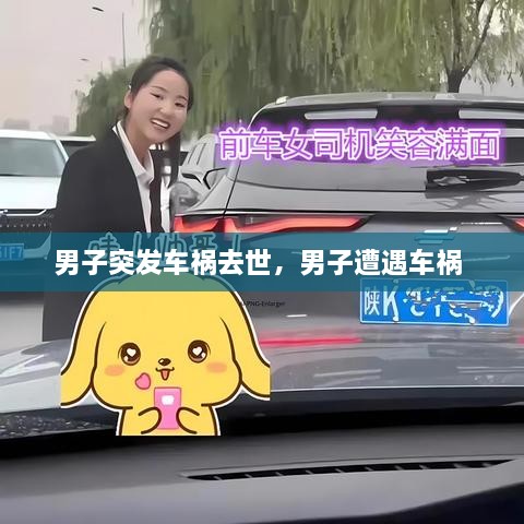 男子突發(fā)車禍去世，男子遭遇車禍 