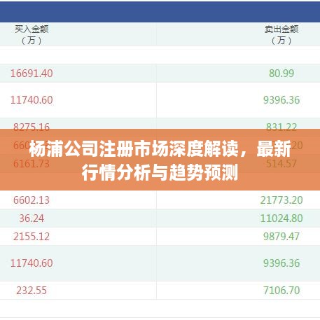 楊浦公司注冊(cè)市場深度解讀，最新行情分析與趨勢預(yù)測