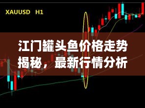 江門罐頭魚價格走勢揭秘，最新行情分析