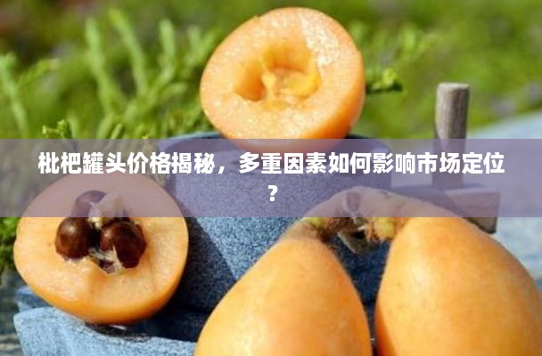 枇杷罐頭價(jià)格揭秘，多重因素如何影響市場(chǎng)定位？