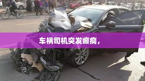 車禍司機突發(fā)癲癇， 