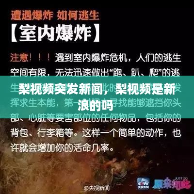 梨視頻突發(fā)新聞，梨視頻是新浪的嗎 