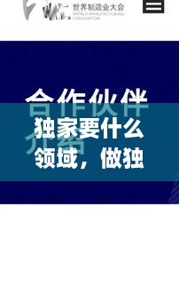 獨家要什么領(lǐng)域，做獨家代理有什么要求 