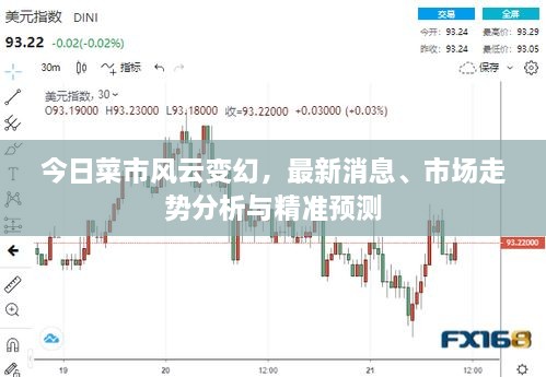 今日菜市風云變幻，最新消息、市場走勢分析與精準預測